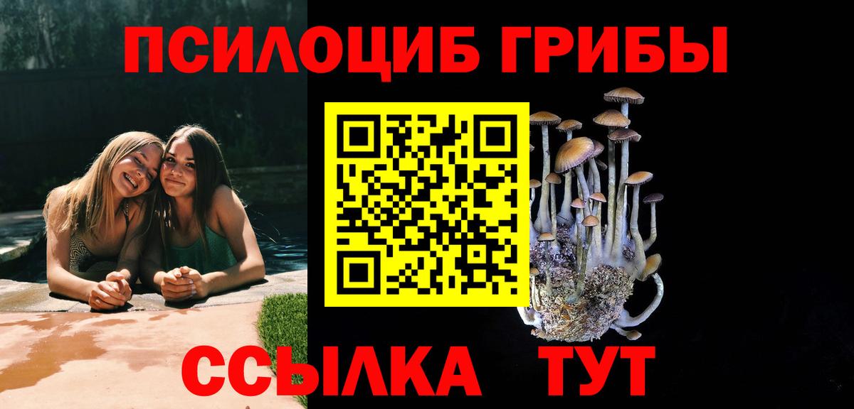 Псилоцибиновые грибы Psilocybine cubensis Волжск