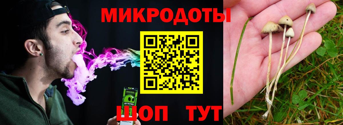 Псилоцибиновые грибы GOLDEN TEACHER  Вход с VPN  Волжск 